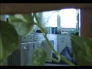 جیمز دین در سگ کوچولو میا مالکووا